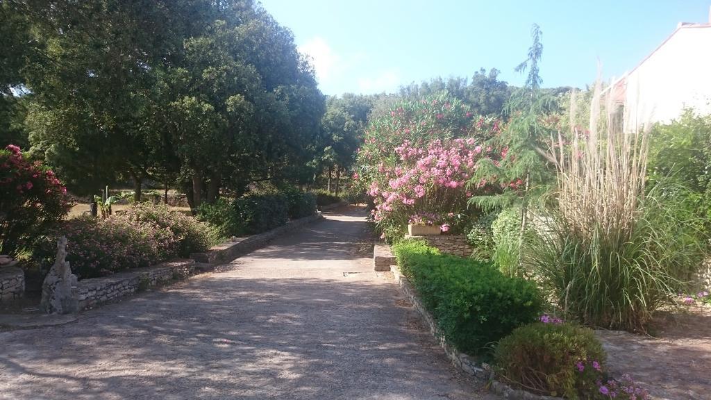 Domaine De Foresta بونيفَسْيو المظهر الخارجي الصورة