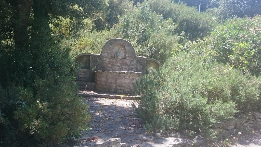 Domaine De Foresta بونيفَسْيو المظهر الخارجي الصورة