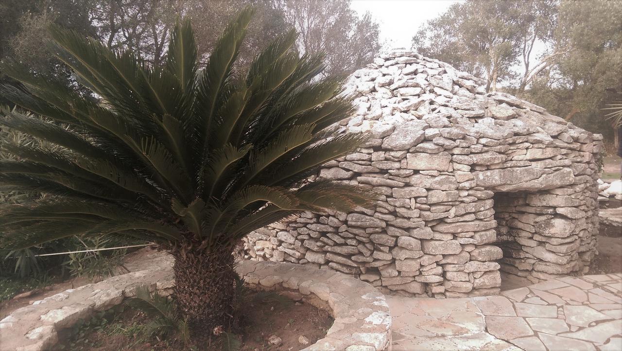 Domaine De Foresta بونيفَسْيو المظهر الخارجي الصورة
