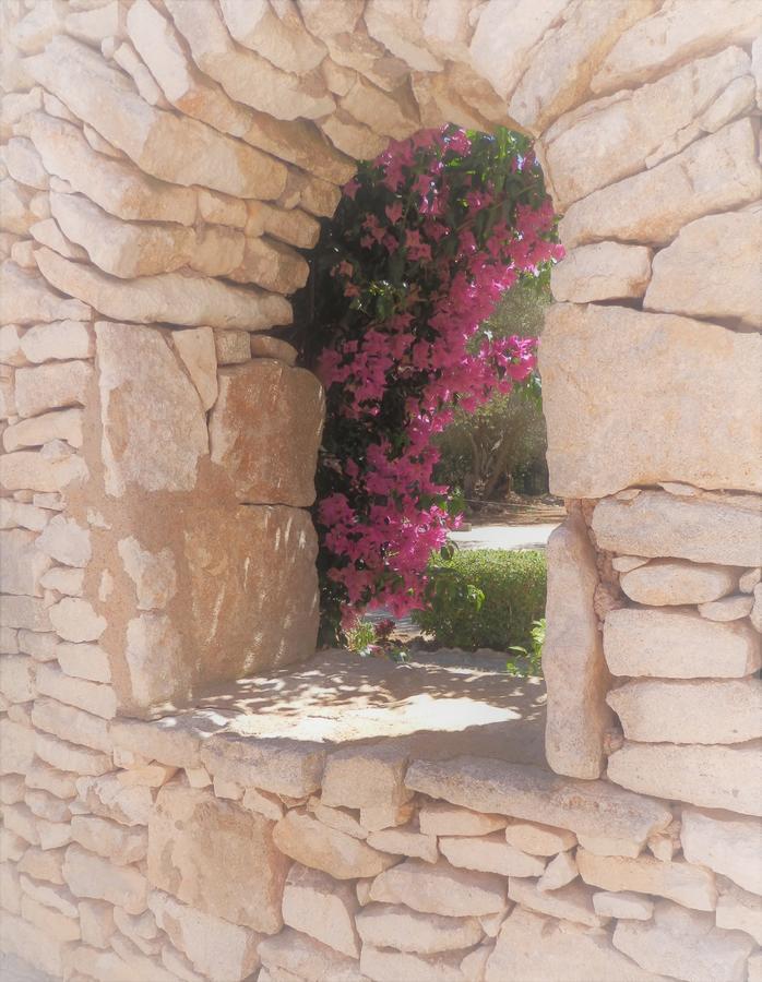 Domaine De Foresta بونيفَسْيو المظهر الخارجي الصورة